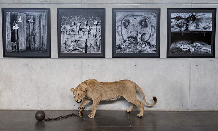 South Africa art show highlights destructive ties between Man and Nature