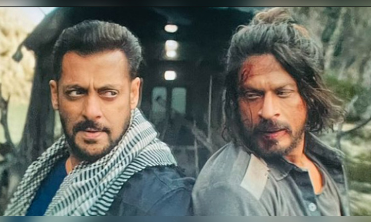 SRK's presence in Salman-starrer ‘Tiger 3’ to be under wraps till release