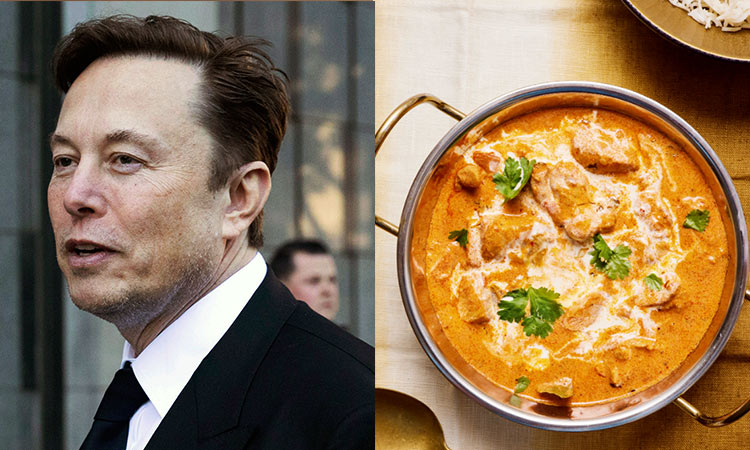 Elon Musk finds butter chicken with naan 'insanely good'