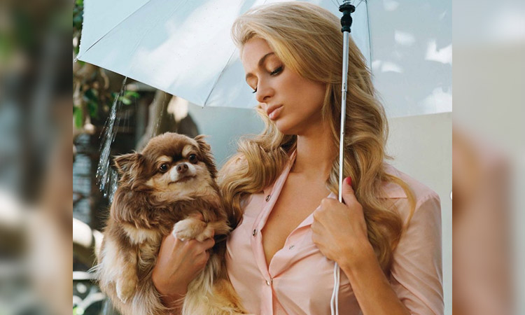 Paris Hilton shattered after death of 23-year-old pet chihuahua