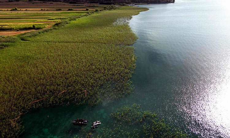 Archaeologists uncover Europe's oldest stilt village