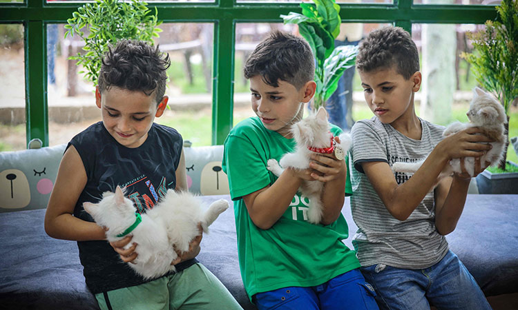 Cat cafe brings pawsitivity to war-scarred Gaza