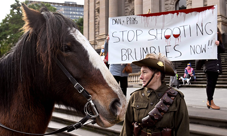 Australia to restart 'essential' aerial shooting of wild horses