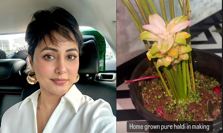 Indian actress Hina Khan goes organic amid cancer treatment, grows turmeric at home