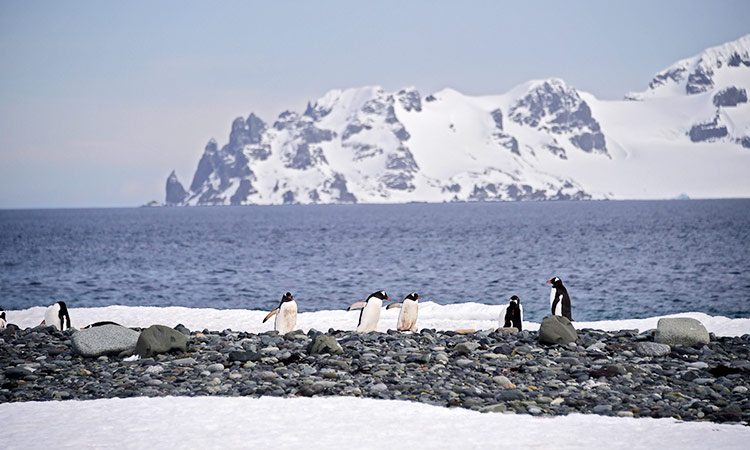 Pacific islanders likely found Antarctica first: Study