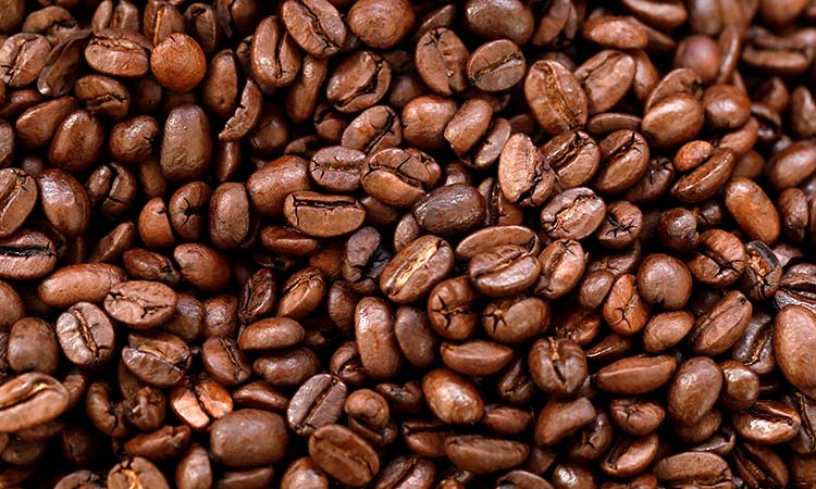 Coffee can help you lose weight, study finds