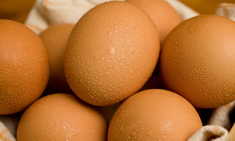 Man dies after bidding to eat  50 eggs to win Rs2,000 bet