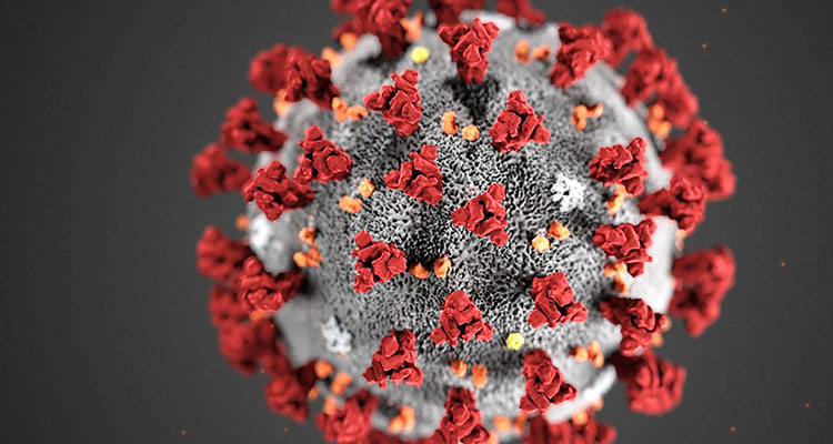 Coronavirus survives on skin five times longer than flu: Study