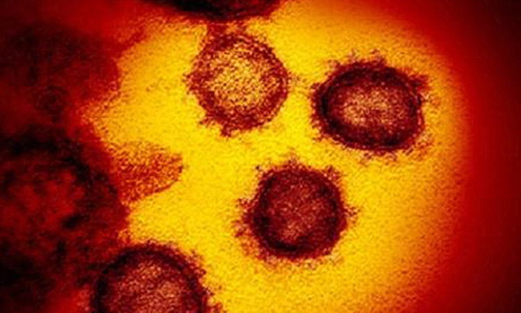 India detects novel coronavirus variant