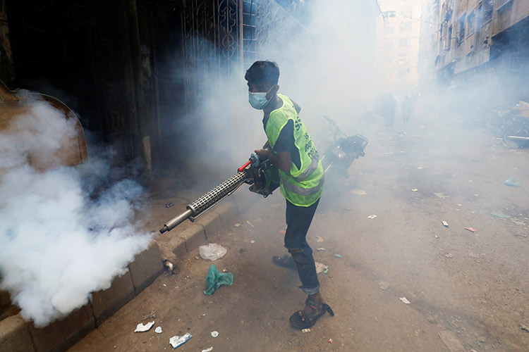 Bangladesh's dengue death toll exceeds 800