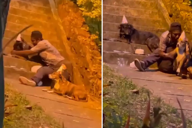 VIDEO: Homeless Colombian celebrating his birthday with two dogs wins hearts 