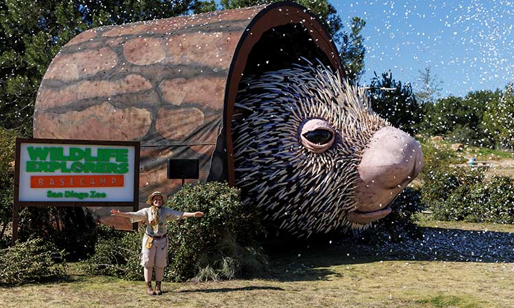 Quills and thrills as prodigious porcupine puppet unveiled