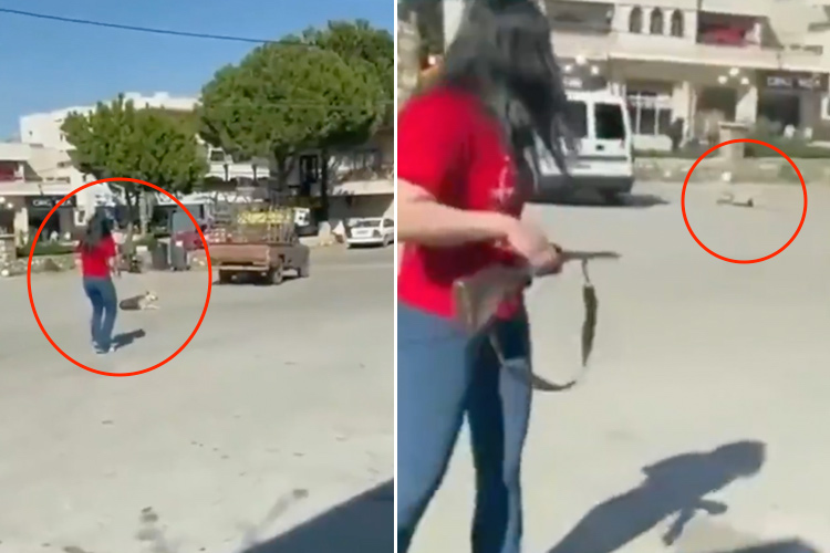 VIDEO: Lebanese woman shoots dog dead after it bites her daughter