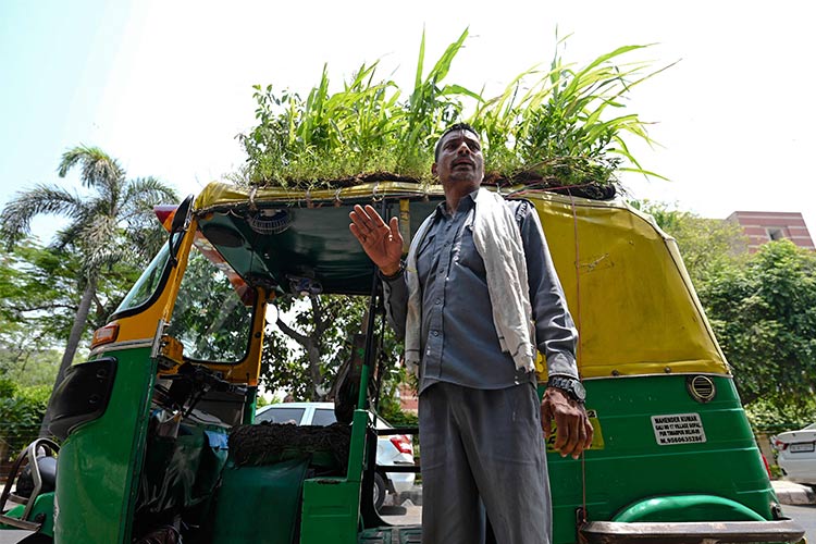 Delhi driver grows garden on autorickshaw's roof to beat the heat