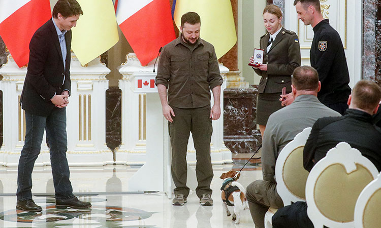 Ukraine's mine sniffing dog Patron awarded medal by Zelensky