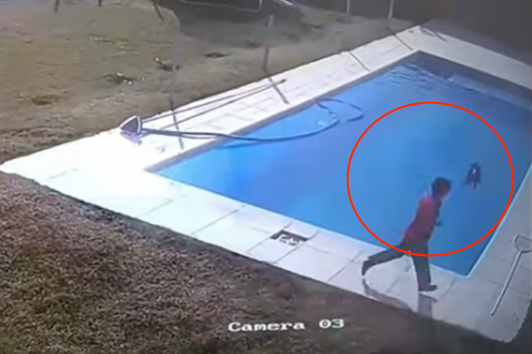 VIDEO: 5-year-old boy rescues puppy from drowning in swimming pool