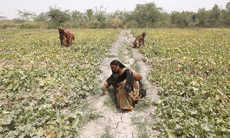 In hottest city on Earth, mothers bear brunt of climate change