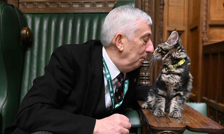 Sir Lindsay Hoyle names new kitten after Clement Attlee