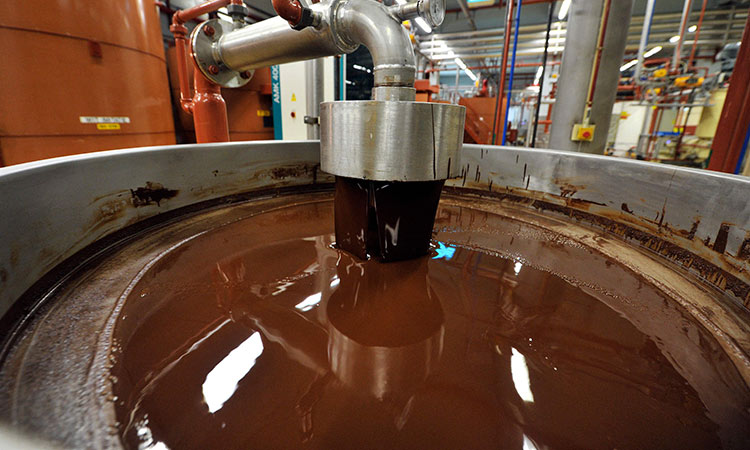 Salmonella bacteria found in world's biggest chocolate plant