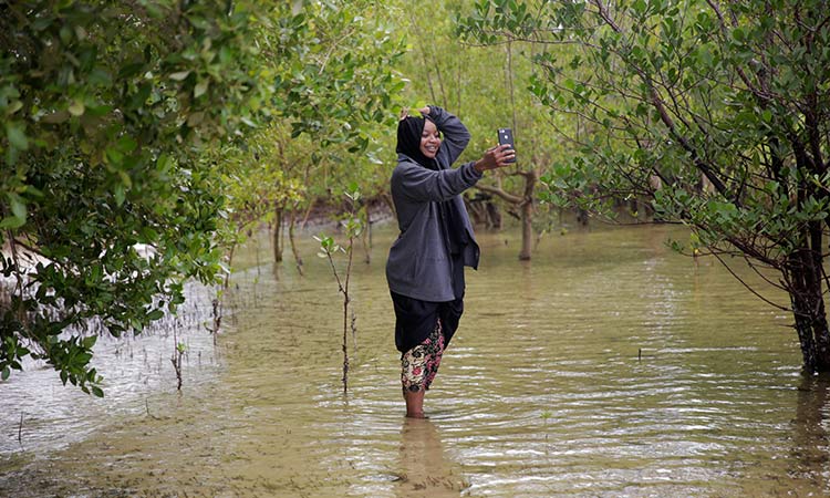 In Kenya, nearly a decade of mangrove restoration