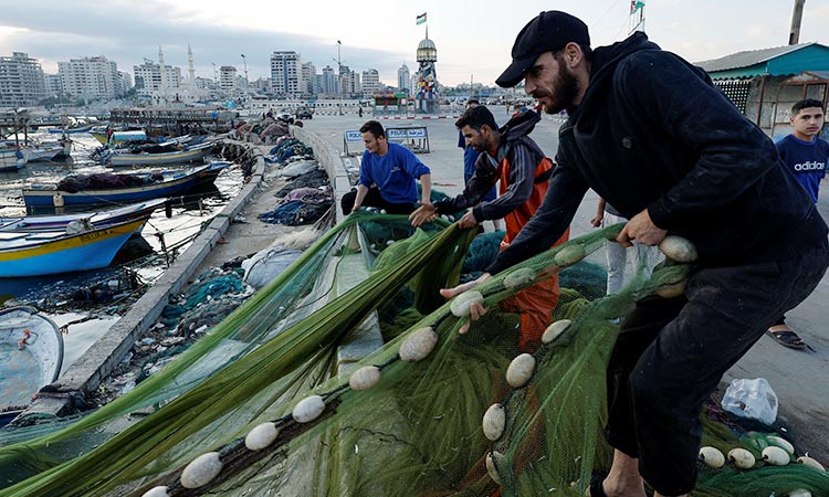 Gaza's first marine fish farm helps make up for dwindling catch