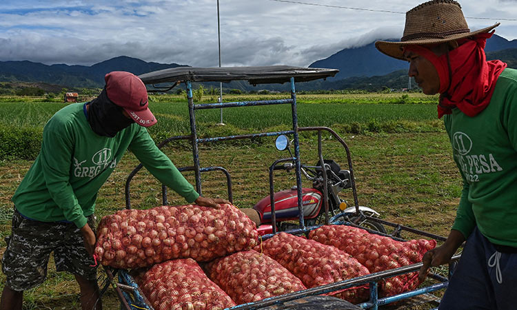 Eye-watering onion prices make Philippine staple a luxury