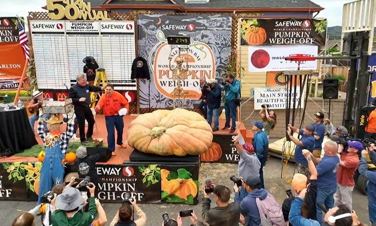 Oh my gourd: Hippo-sized pumpkin is world's biggest