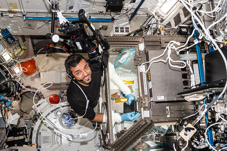 Emirati astronaut conducts experiments on effects of clinical drugs on heart cells in microgravity