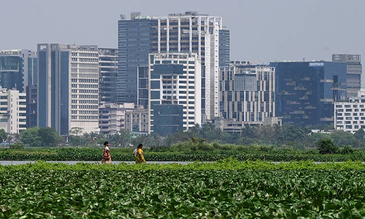 The 'kidneys of Kolkata': Indian wetlands under threat