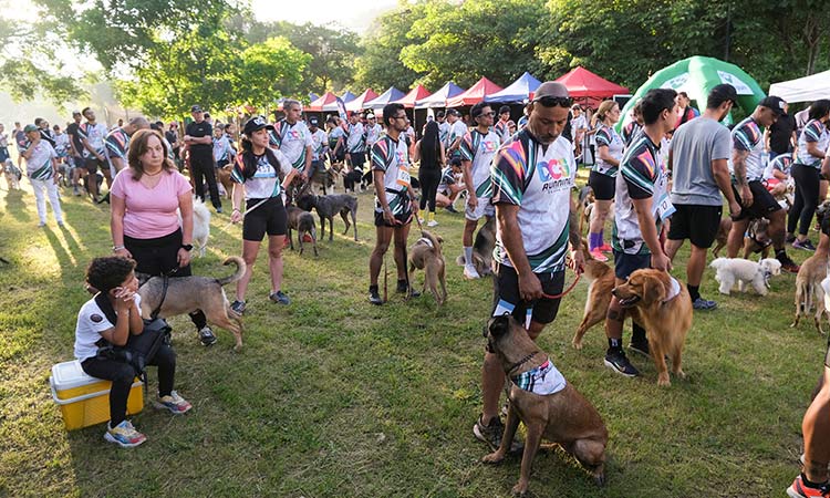 Over 150 dogs join race to support Venezuelan shelters