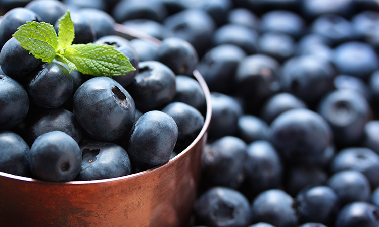 Blueberries: The antioxidant powerhouse for brain health