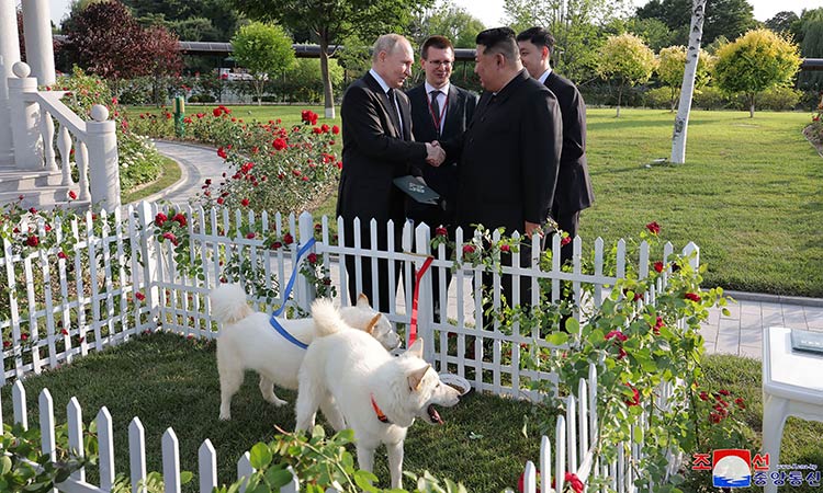 North Korea's Kim gives pair of dogs to Putin