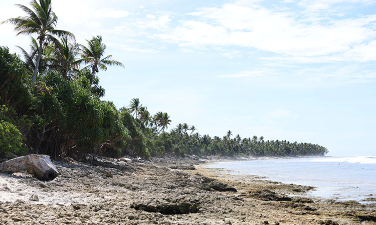 United Nations warns of continued sea-level rise risks