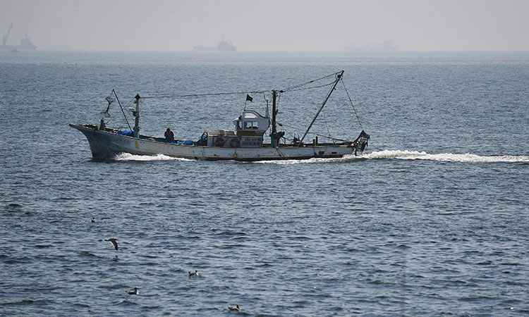 Eight illegal fishing boats spotted in UAE’s territorial waters