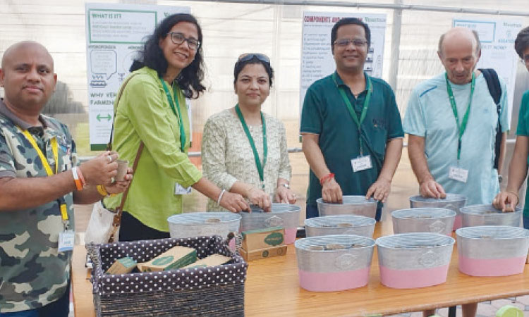 Volunteers plant 400 tree seed-balls