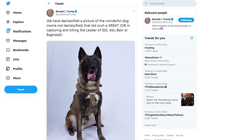 Trump tweets photo of military dog wounded in Baghdadi raid