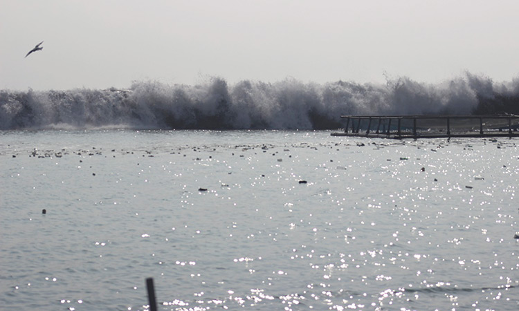 Man drowns in sea near Dibba City