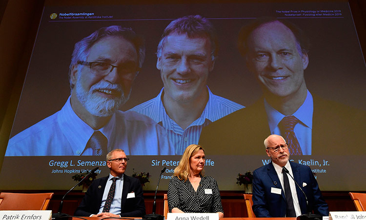 Trio win medicine Nobel for work on how cells adapt to oxygen