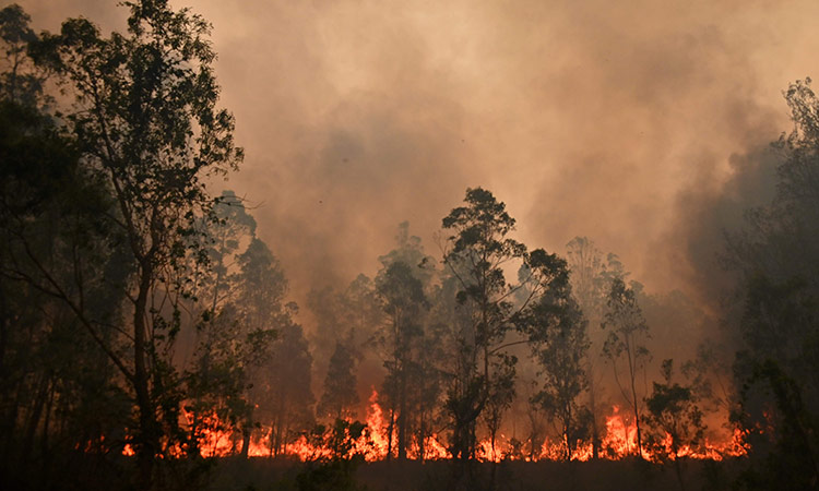 Australia's bushfire-stricken east welcomes drenching rain