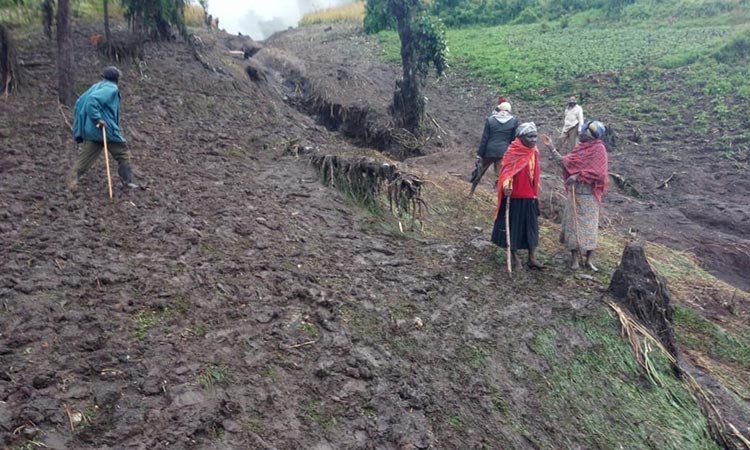 Death toll from Kenya storms rises to 52: Official