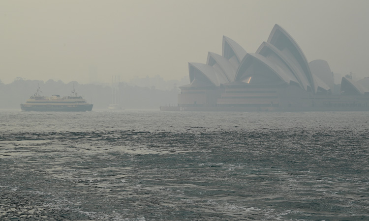 Toxic Sydney bushfire haze a ‘public health emergency’