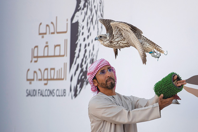 Emirati   falconers   excel in  festival