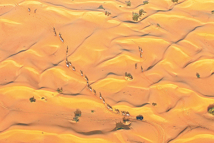 The magnificent desert stretches of Dubai