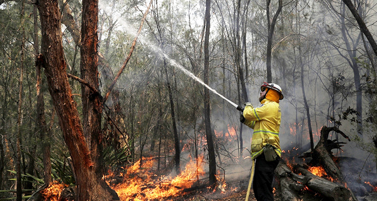 Smoke haze settles over Australian capital as bushfires burn