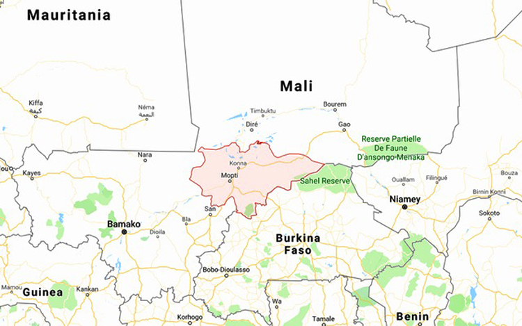 Mali army says it killed 50 militants, freed soldiers in counter-attack