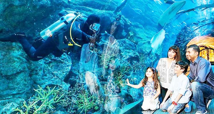 Dubai Aquarium named top aquarium in MENA