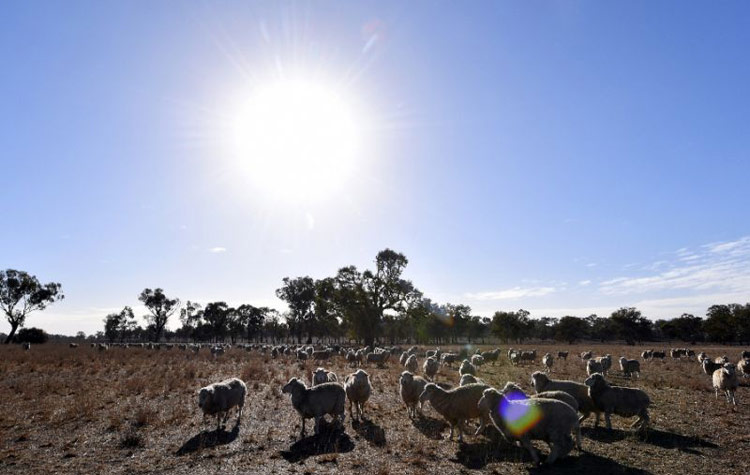 Australia sees record temperatures for fourth month in a row