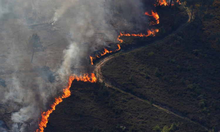 26 firefighters die battling China forest fire