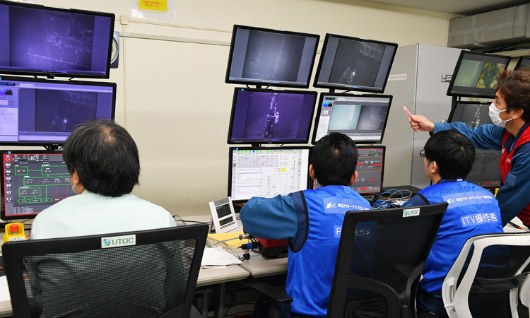 Nuclear fuel removed from crippled Japan plant