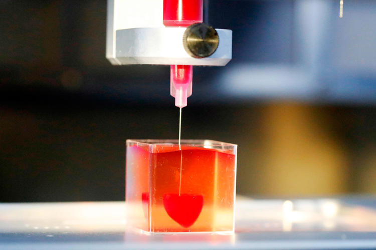 'First' 3D print of heart with human tissue, vessels unveiled